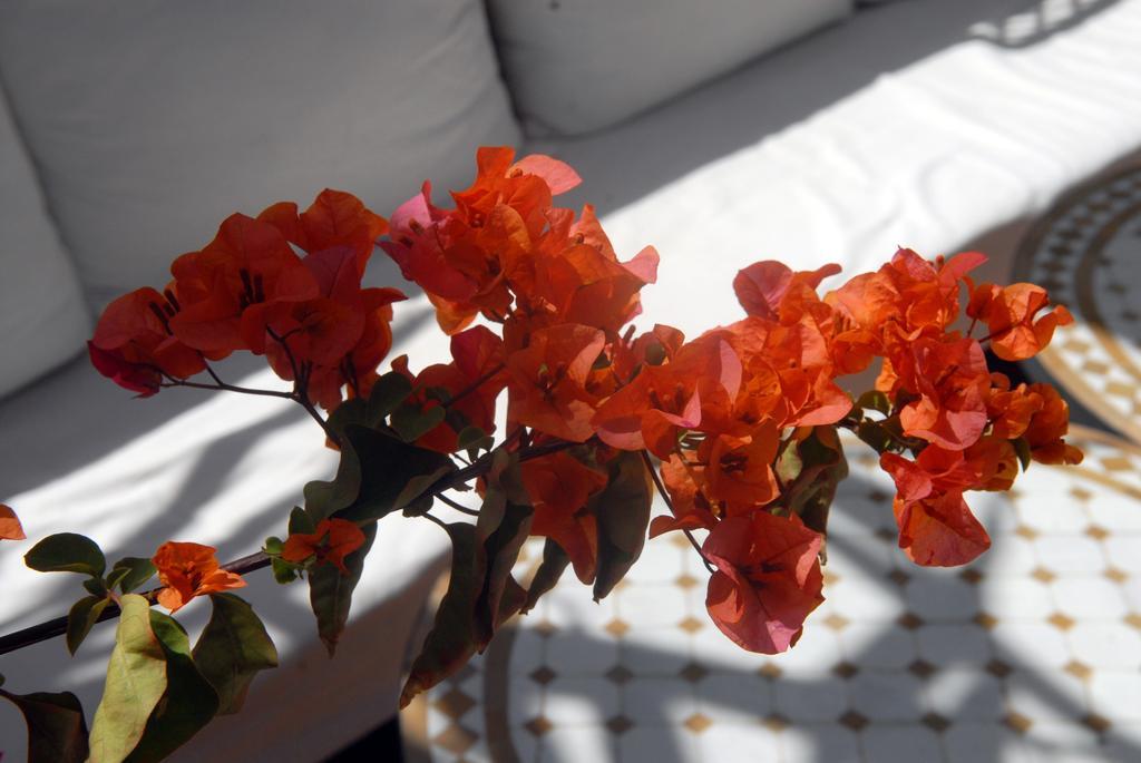 Guest house Celia 2*